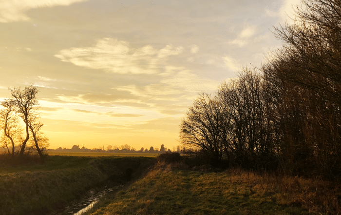 Autumn Escapes: Cosy Camping Pods to Fall For at New Farm Holidays