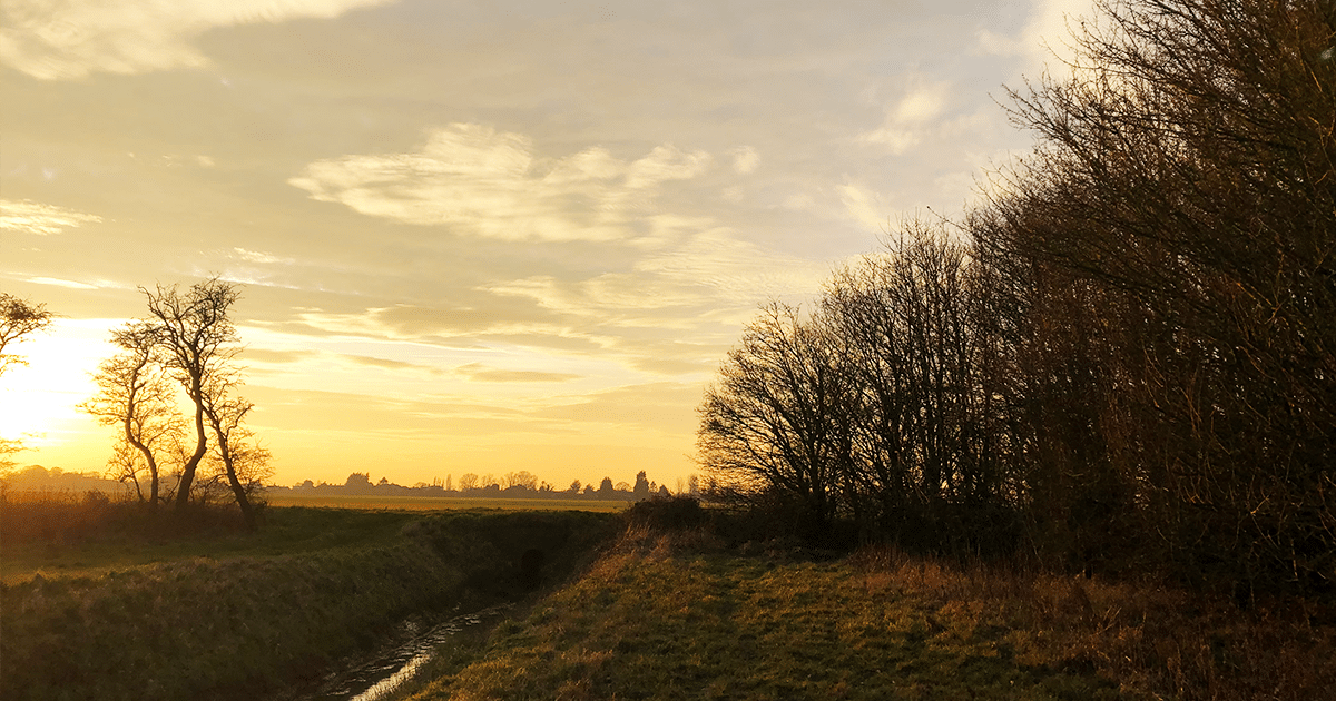 Autumn Escapes: Cosy Camping Pods to Fall For at New Farm Holidays