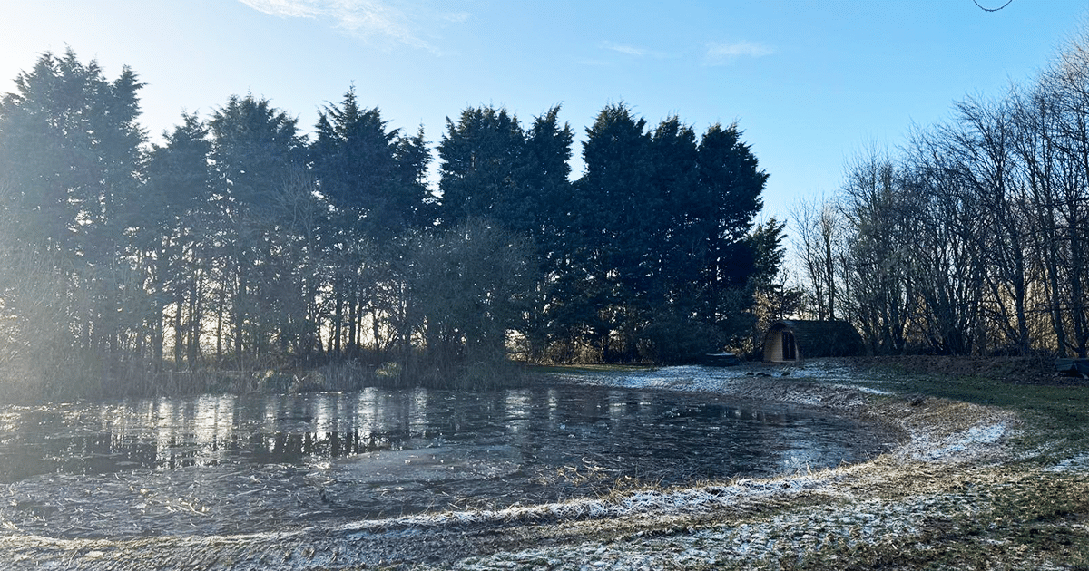 The Pond looking much more presentable - ready for another year!